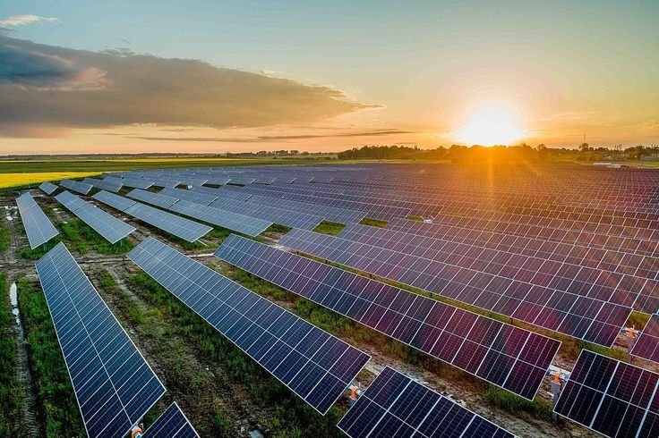Solar panels in Dubai powering business growth under UAE solar EPC projects