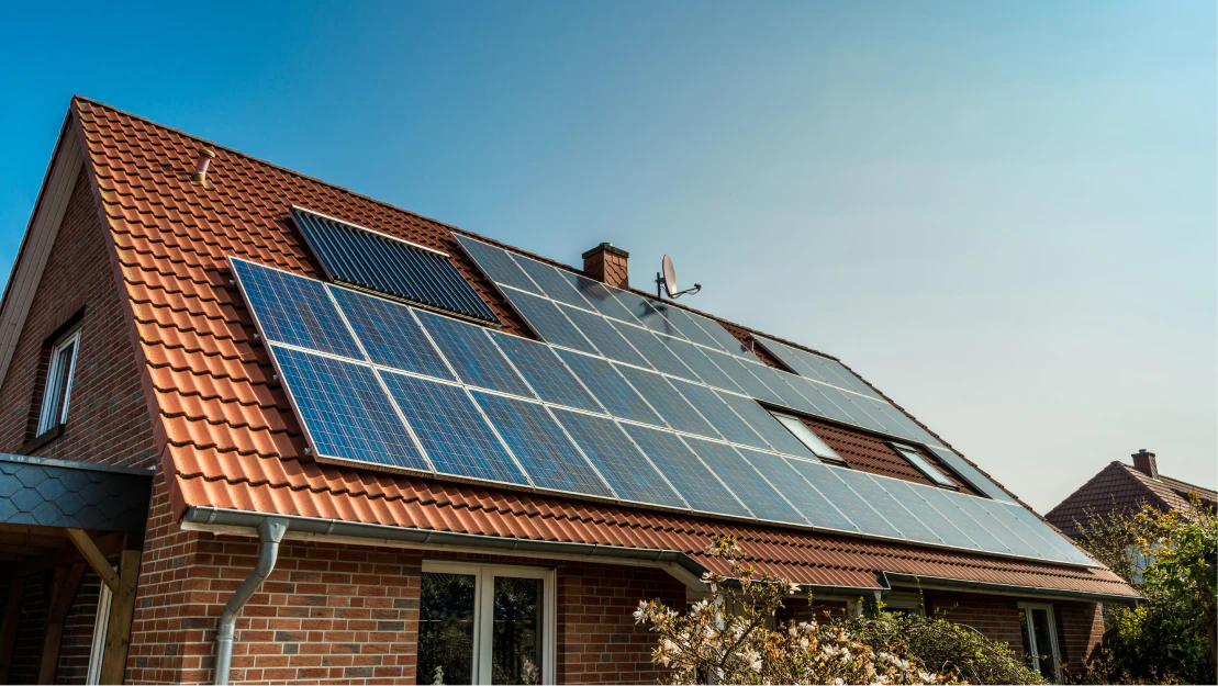 Steelbridge Export – trusted solar panels supplier promoting sustainable solar investment across the Middle East.